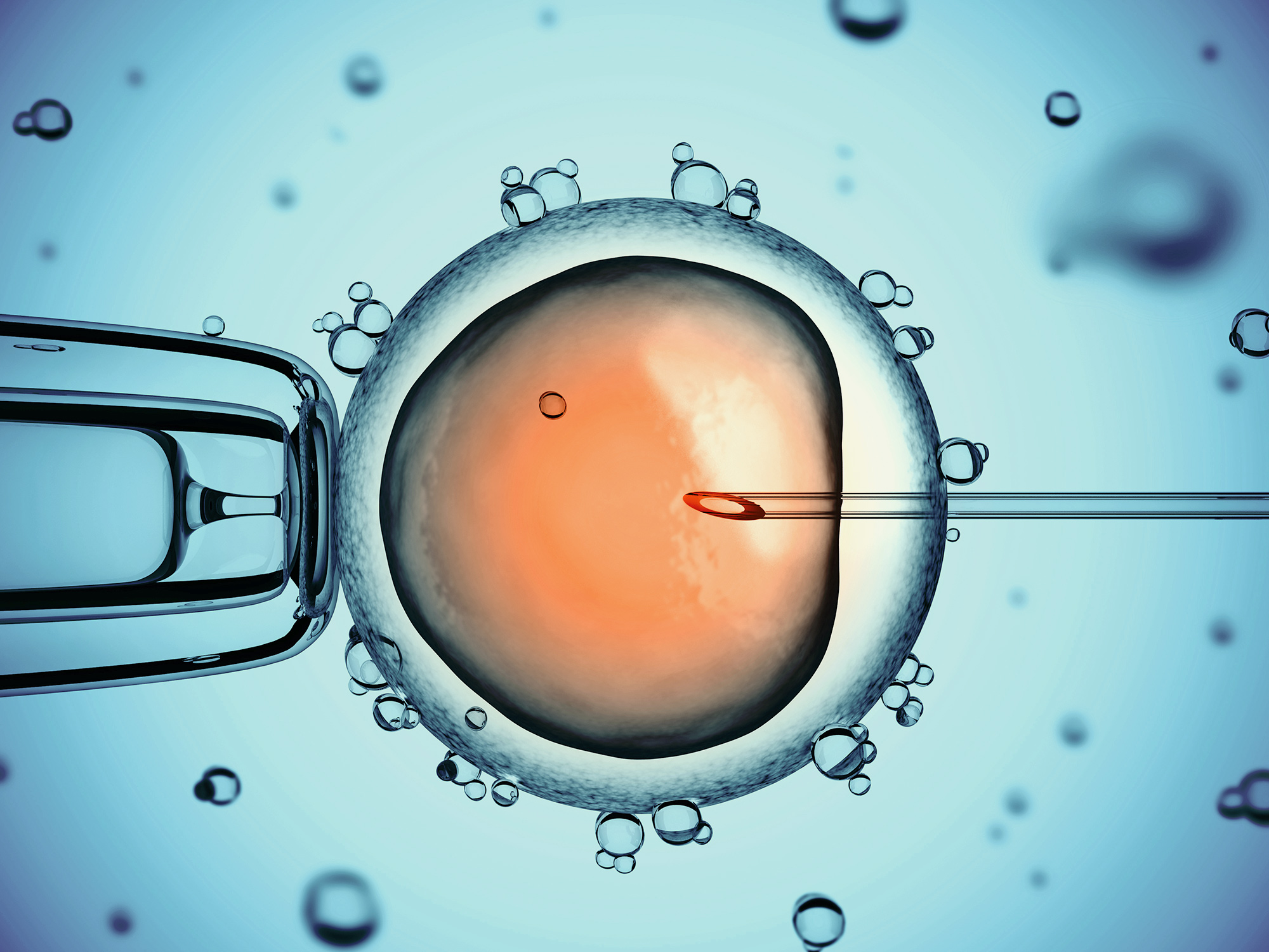 Biotechnology Master's Degree Program | Harvard Extension School