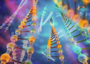 Bioinformatics Graduate Certificate Harvard Extension School