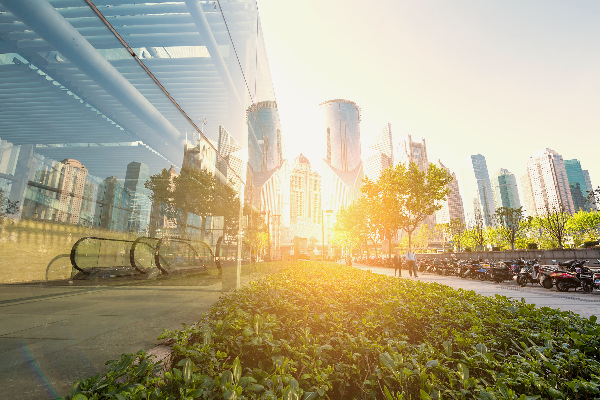 looking towards the future of world urban development, cities of the global south will: quizlet