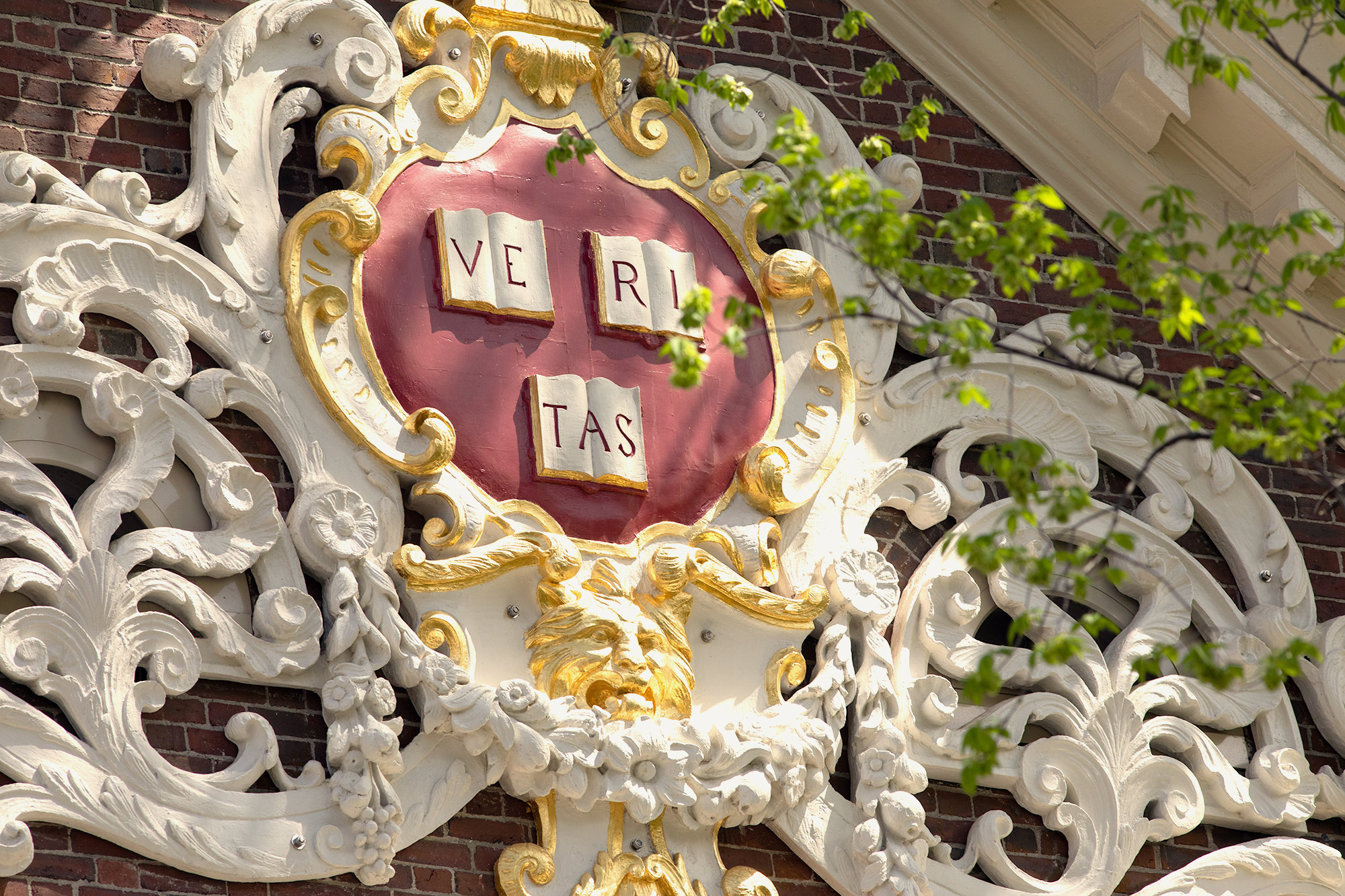 Harvard veritas shield carved out of wood