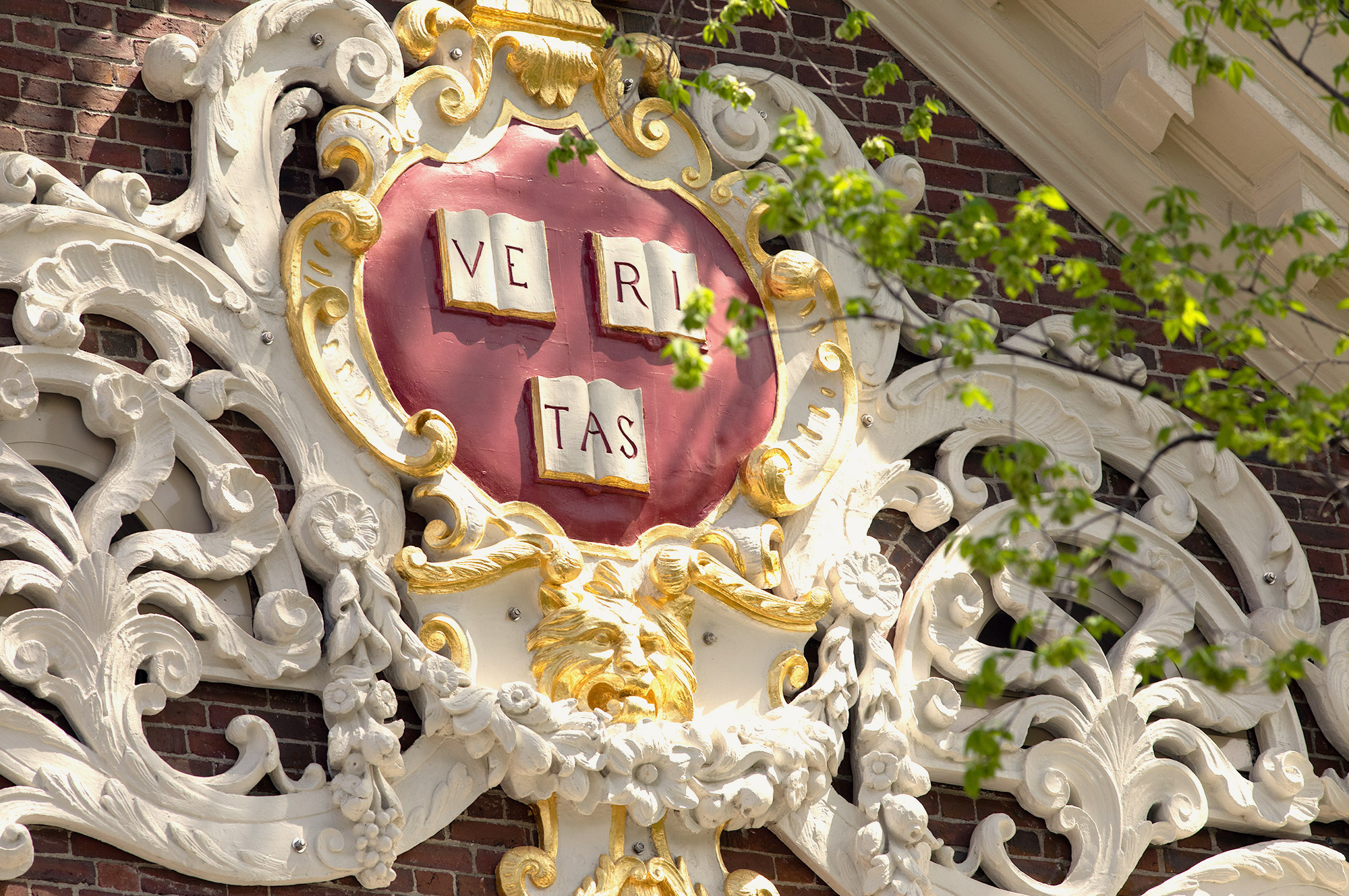 Harvard University veritas shield