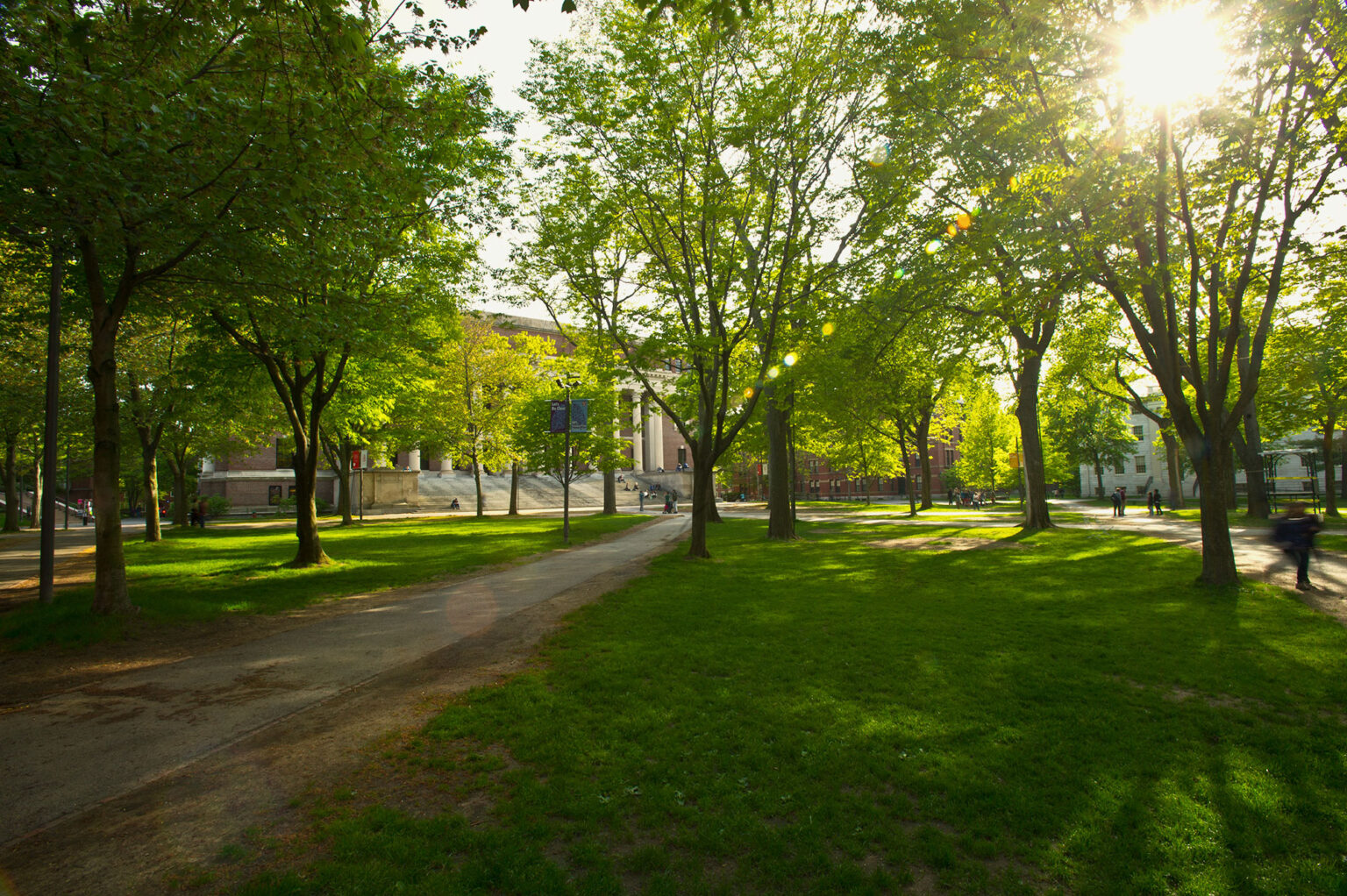 Harvard Extension School Earn a Degree or Professional Certificate
