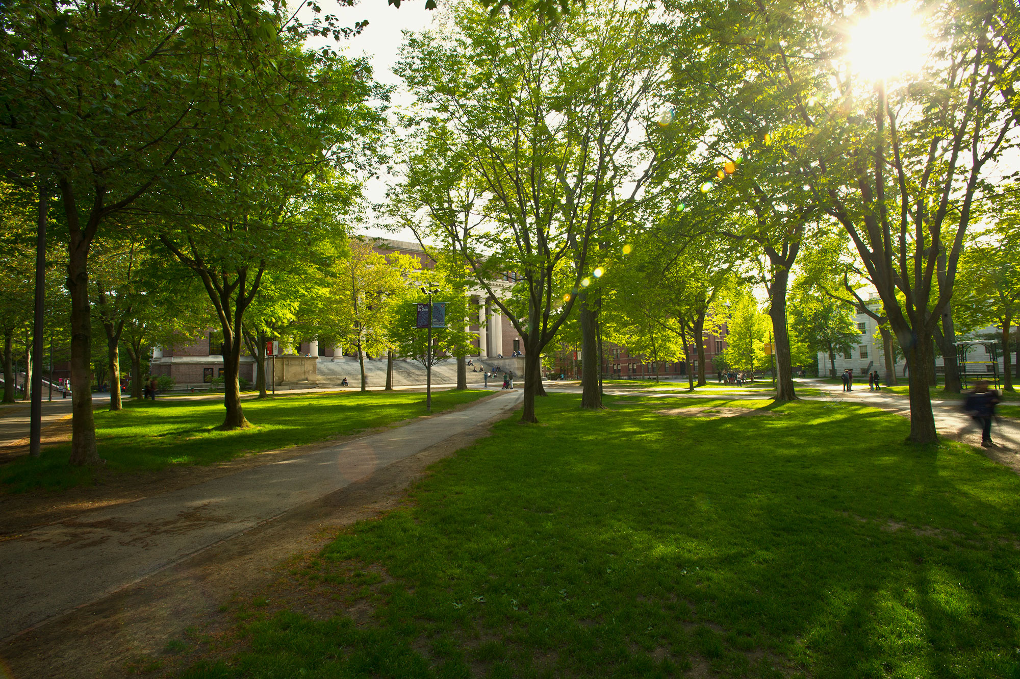 Harvard Yard.