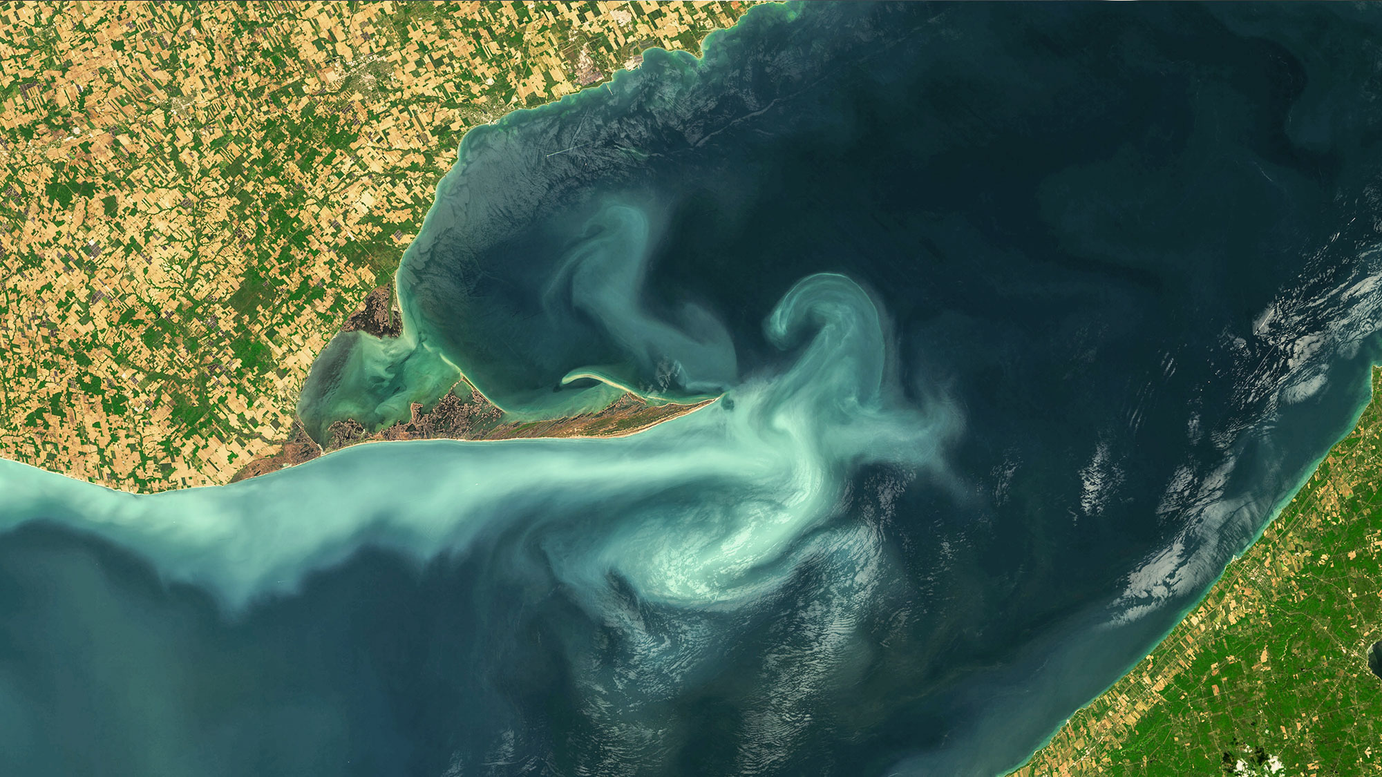 Phytoplankton on a lake.